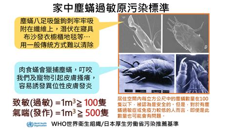 塵蟎大便|【塵蟎大便】塵蟎大便驚魂！深入瞭解塵蟎過敏地獄！